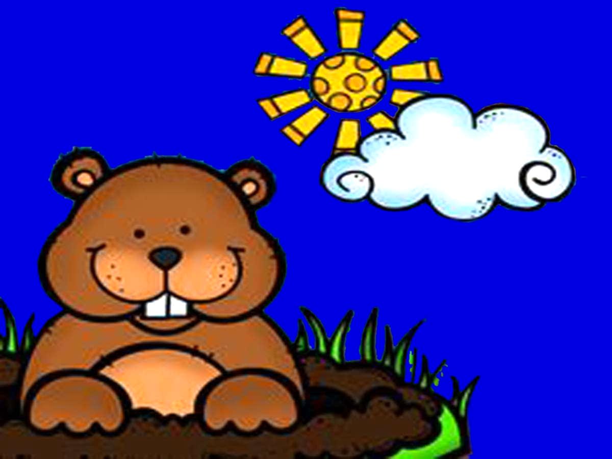 February 2 is Groundhog Day